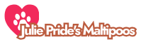 Julie Pride's Maltipoos